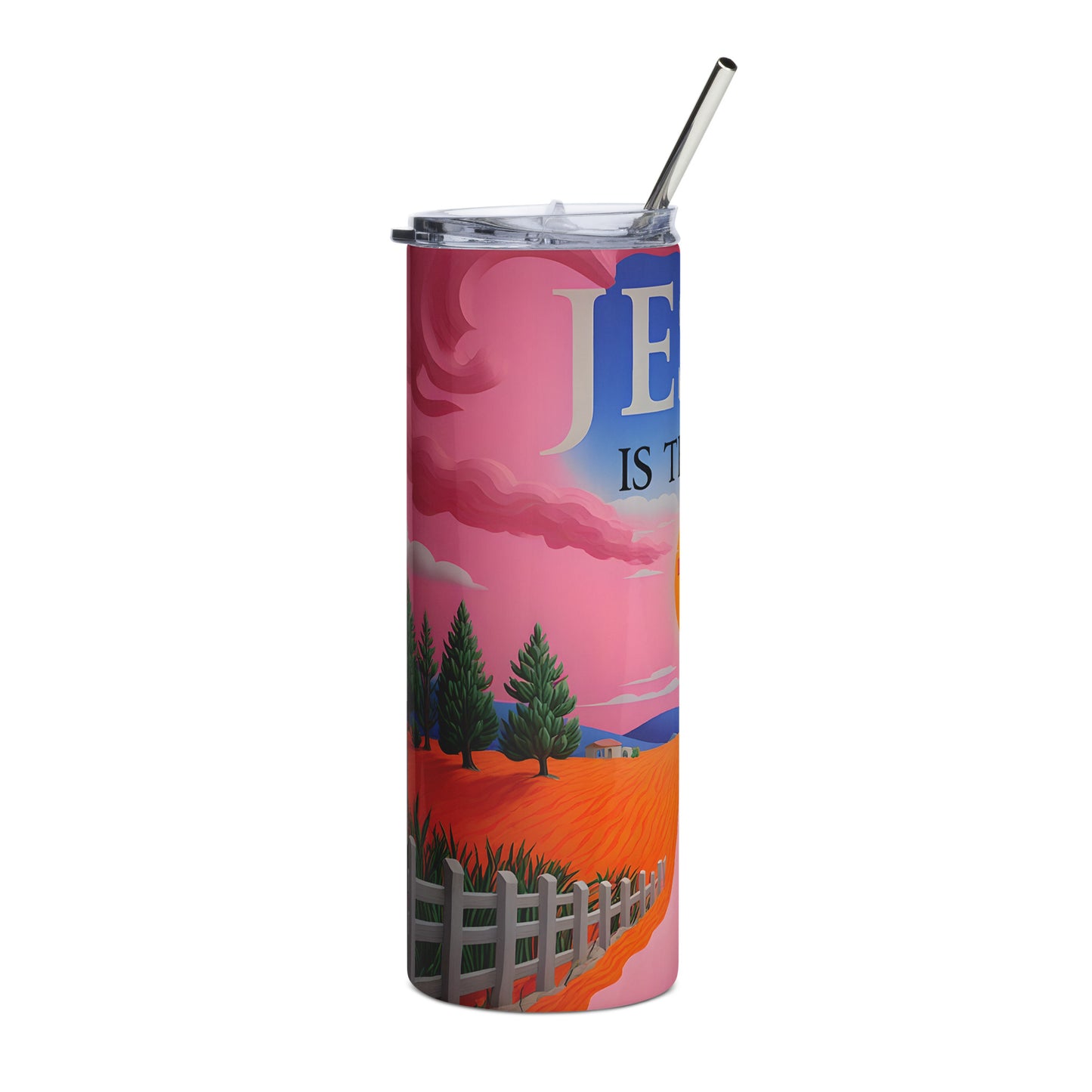 Stainless steel tumbler Women Version 17