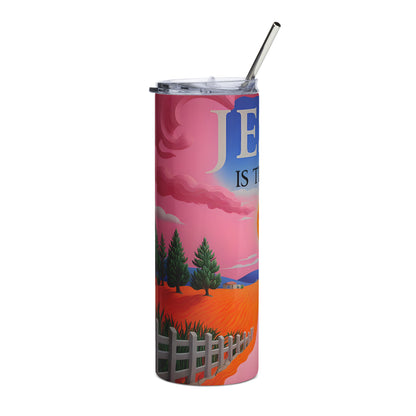 Stainless steel tumbler Women Version 17